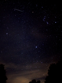 Geminid Heads for Orion (click to enlarge)