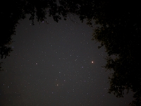 Mars Through Canopy (click to enlarge)