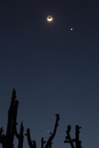 Earthsine and Venus (click to enlarge)