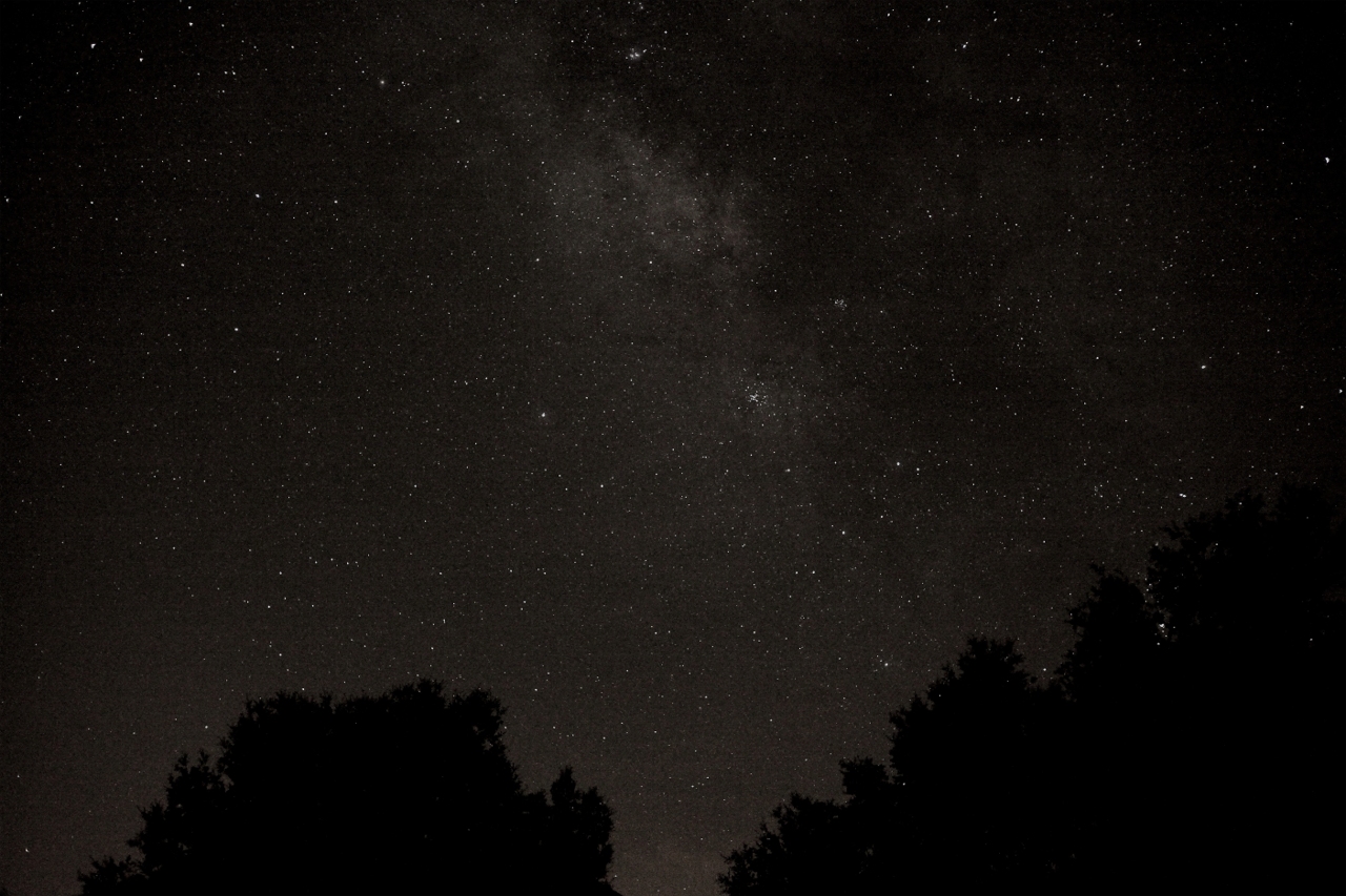 Milky Way (click for pictures)
