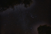 Orion (click to enlarge)